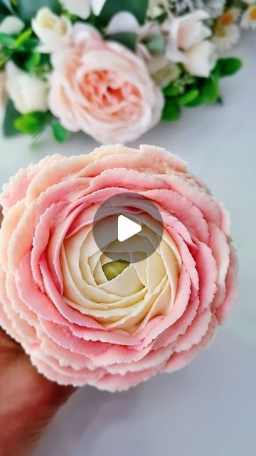 Piya on Instagram: "These buttercream rose cupcakes are such classic beauties that they never go out of style. You can make them in two tones using only one pastry bag...link in bio to see how easy it is to make them 💗   Used American buttercream frosting and Wilton tip 104   Have a lovely Thursday everyone 🤗   #bloggers#bakers#foodbloggers#cakes#buttercream#wilton#cakedecorating" Two Toned Buttercream Roses, Cupcake Techniques, Buttercream Roses Tutorial, American Buttercream Frosting, Buttercream Flowers Cupcakes, Rose Cake Design, Buttercream Flowers Tutorial, Cupcake Flowers, Cake Decorating Flowers