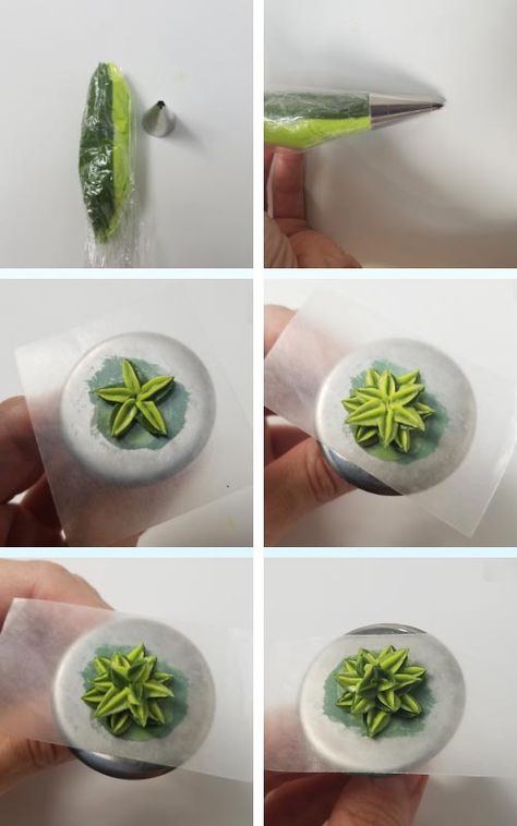 Succulent Icing Tips, Piping Tips For Succulents, Succulent Cookie Cake, Succulent Cake Ideas Easy, Royal Icing Succulents, Succulent Cookies Royal Icing, How To Make Succulent Cupcakes, Buttercream Succulents Tutorial, Frosting Succulents