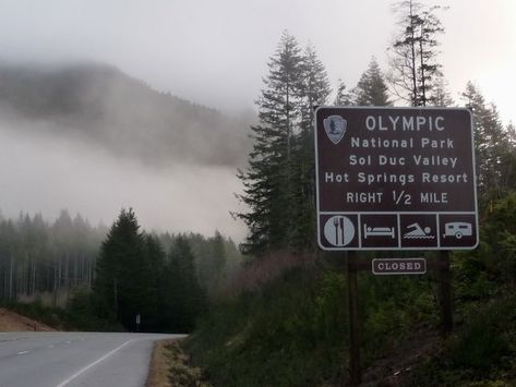 Foggy Sky, Forks Washington, Midwest Emo, Spring Resort, Forest Trees, Olympic National Park, Twin Peaks, Life Is Strange, The Twilight Saga