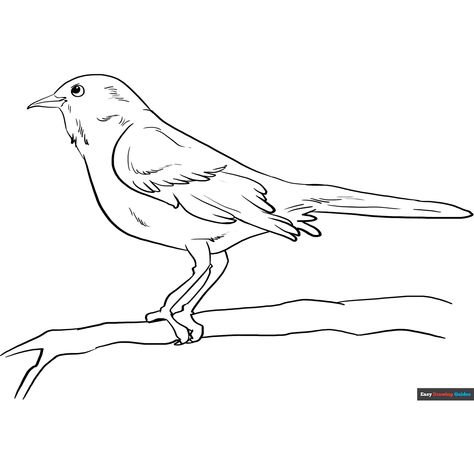 Free Mockingbird Coloring Page for Kids Mockingbird Drawing Easy, Mockingbird Drawing, Bird Outline, Free Printable Coloring Sheets, Bird Stencil, Bird Coloring Pages, Painting Templates, Kraf Diy, Drawing Tutorial Easy