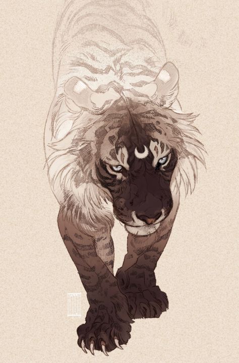 Home / Twitter Big Cats Art, Tiger Art, Year Of The Tiger, Fantasy Creatures Art, Mythical Creatures Art, Animal Sketches, Arte Fantasy, The Tiger, Cat Drawing