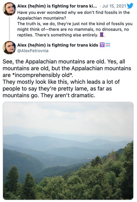 Appalachian Outfits, Old Gods Of Appalachia Fan Art, Appalachian Mountains Map, Appalachian Witch, Appalachian Magic, Appalachian Aesthetic, Appalachia Aesthetic, Appalachian Folklore, Appalachian Gothic