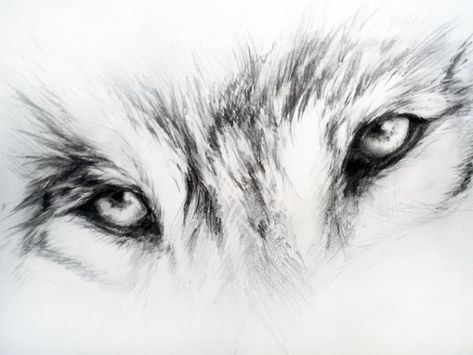 Wolf Eye Drawing, Wolf Eye Tattoo, Orion Tattoo, Wolf Drawing Easy, Animal Sketches Easy, Lup Singuratic, Geometric Wolf Tattoo, Butterfly Tattoo Stencil, Wolf Tattoos Men