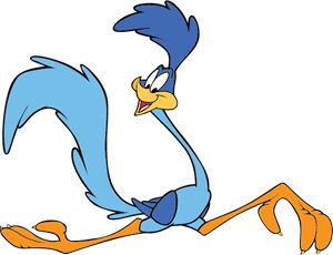 Road Runner Cartoon, Road Runner, A Cartoon, Cartoon Character, Cartoon Characters, Running, Road