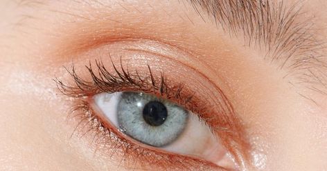 Why Brow Powder Is The Best Product For Fine, Sensitive Brow Hairs Teenage Makeup, Bottom Eyeliner, Kitten Eyes, Arch Brows, Makeup Artist Tips, Brow Powder, Natural Brows, How To Apply Eyeliner, Celebrity Makeup Artist