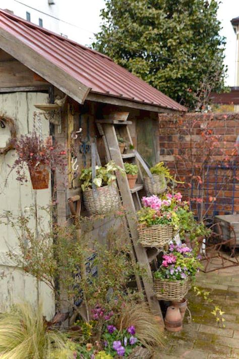 Cottage Store, Garden Baskets, Displaying Plants, Potting Benches, Shed Decor, Taman Diy, Rustic Ladder, Summer Houses, Greenhouse Ideas