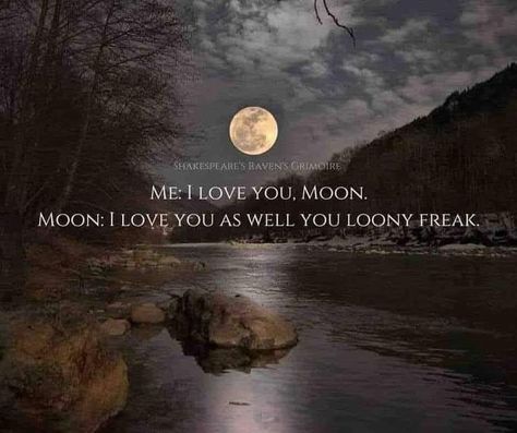 Full Moon Quotes, Moon Lover, Moon Quotes, Star Ocean, Look At The Moon, Moon Lovers, Beautiful Moon, Practical Magic, Moon Magic