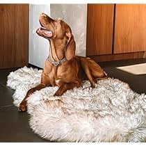 Luxury Pet Beds, Faux Fur Bedding, Fur Bedding, Memory Foam Dog Bed, Orthopedic Dog Bed, Dog Bed Large, Luxury Pet, Fluffy Animals, Large Animals