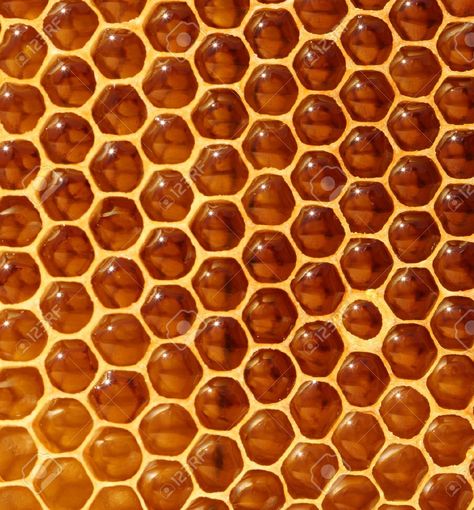 Hexagon Aesthetic, Honeycomb, Pretty Nails, Honey, Google Search