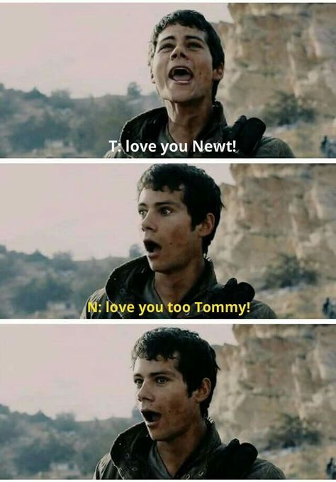 heh Maze Runer, Scorch Trials, Maze Runner Thomas, Maze Runner Trilogy, Maze Runner Funny, Maze Runner Cast, Teen Wolf Memes, Maze Runner Imagines, Maze Runner Movie