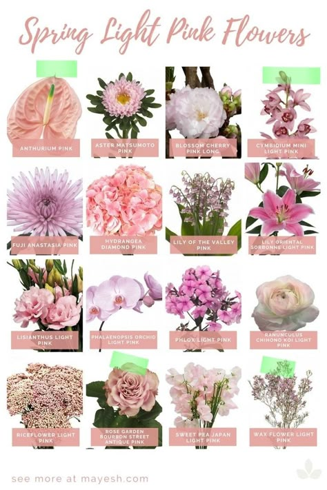 Pink Flower Names, Spring Season Flowers, Flowers By Season, Flower Recipe, Flowers By Color, Flower Studies, Flower Dictionary, Find Your Happiness, Flower Chart