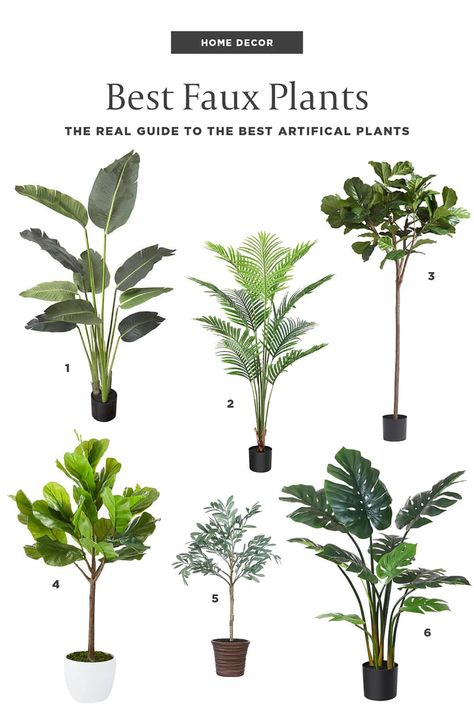 Guide to the best faux plants that look real 2023. Find large faux trees, fake plants, artificial olive trees, and more for your home decor. Ikea Artificial Plants, Best Faux Plants, Indoor Office Plants, Tall Fake Plants, Faux Plants Decor, Faux Trees, Hipster Home Decor, Fake Potted Plants, Pine Hill