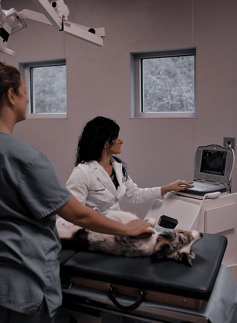 Aesthetic Vet Pictures, Veterinary Radiology, Veterinarian Career, Vet School Motivation, Veterinary Science, Vet Medicine, Nurse Aesthetic, Vet Assistant, Tech Aesthetic