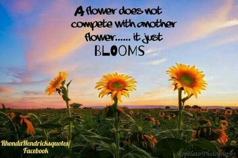 A flower doesn't compete with another flower...It just Blooms! 🌻  Rhonda Hendricks Quotes/Facebook Johnston Marklee, Bunch Flower, Quotes Facebook, Harbin, Bus Stop, Beautiful Sky, Out Of This World, Empowering Quotes, Cute Quotes