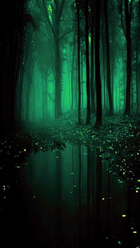 Emerald Dark Aesthetic, Emerald Green Homescreen Aesthetic, Green Dark Forest Aesthetic, Emerald Screensaver, Emerald Green Forest Aesthetic, Emerald Green Aethstetic, Dark Green Forest Background, Dark Green Princess Aesthetic, Blue Green Forest Aesthetic