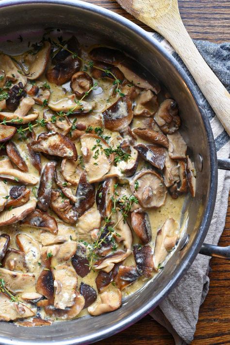 Creamy Mushrooms In Goat Cheese Sauce Goat Cheese Pasta Sauce, Mushroom Side Dish, Goat Cheese Sauce, Mushroom Pasta Sauce, Mushroom Side Dishes, Goat Cheese Pasta, Cheese Sauce For Pasta, Goat Cheese Recipes, Cheese Sauce Recipe