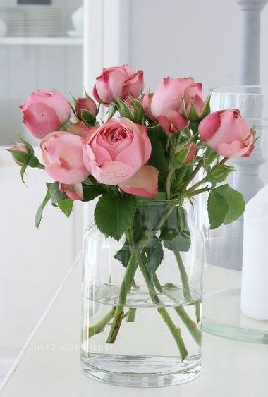 . Pink Rose Arrangements, Rose Vase, Trendy Flowers, Deco Floral, Rose Cottage, Beautiful Blooms, Ikebana, Cut Flowers, Love Flowers