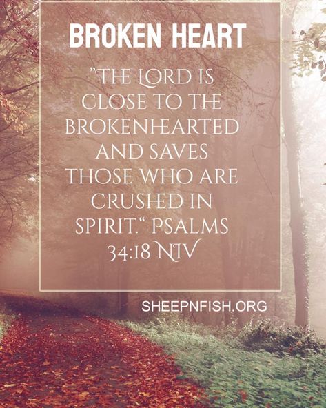 God is close to the broken hearted! Gods love for you words of encouragement! Bible verses # #healing #dailymotivation #kindness #dailymotivation #biblequotes #biblequote #theword #dailyencouragement Bible Verses Healing, Close To The Broken Hearted, Encouragement Bible Verses, Broken Hearted, Daily Encouragement, Daily Bible Verse, Gods Promises, Daily Bible, Daily Motivation