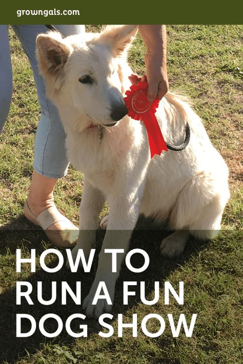 How to run a FUN dog show - GrownGals Dog Fashion Show Ideas, Dog Carnival Ideas, Best In Show Dog, Dog Show Ideas, Dog Festival Ideas, Dog Adoption Event Ideas, Dog Event Ideas, Dog Festival, Dog Event