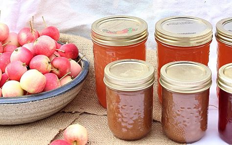 The Best Way to Juice Crab Apples Crab Apple Juice Recipes, Crab Apple Jam Recipe, Crab Apple Cider, Crab Apple Juice Without A Juicer, Crab Apple Jam, Steamed Crabs, Electric Juicer, Crab Apple, Apple Juice