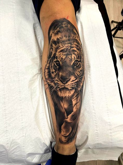 Tiger Shin Tattoo, Shin Tattoo, Portrait Tattoo, Tattoos