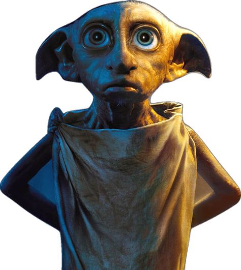 Robin From Stranger Things, Harry Potter Life, Dobby Harry, The Sorting Hat, Harry Potter Wiki, Which Hogwarts House, Free Dobby, Dobby Harry Potter, Dark Wizard