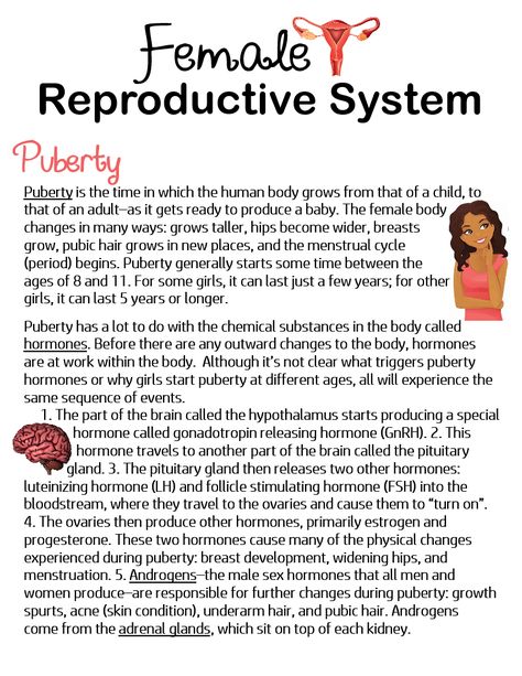 Female Reproduction System, The Reproductive System Notes, Men Reproductive System, Reproductive System Notes Aesthetic, Human Reproductive System, Female Reproductive System Anatomy, Cell Biology Notes, Learn Biology, Medical Assistant Student