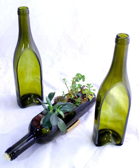 Beautiful Bottle Gardens That Will Make You Beam - Bored Art Wine Bottle Garden, Old Wine Bottle, Wine Bottle Planter, Succulent Planter Diy, Plants In Bottles, Wine Bottle Design, Succulent Garden Diy, Herb Planters, Bottle Garden