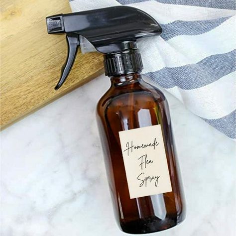 Natural Bug Spray For Plants, Homemade Bug Spray Recipe, Natural Bug Spray Recipe, Bug Spray For Plants, Homemade Flea Spray, Essential Oils For Fleas, Pest Spray, Homemade Bug Spray, Ant Spray