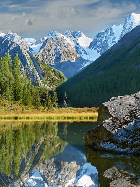 When you think of Siberia, you might picture endless snow, but it’s also home to some of the world’s most diverse ecosystems. From the sprawling taiga forests to the stunning Altai Mountains, Siberia shelters a wide range of plants and animals, many of which are found nowhere else.  Here, nature quietly flourishes, with rare species adapting to both harsh winters and lush summers. Fantasy Moodboard, Taiga Forest, Alpine Forest, Altai Mountains, Rare Species, Lush, You Think, Forest, Range