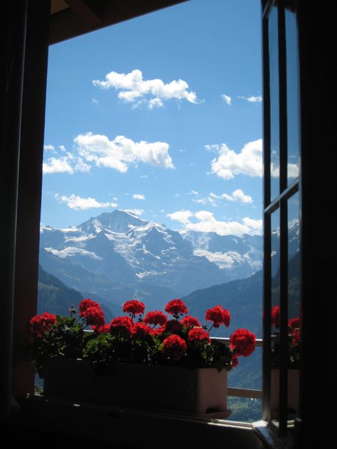 View of The Jungfrau Summit from the top of Harder Kulm  Interlaken, Switzerland    Photo By Darlene Castillo Wallpaper Hippie, Mountains Flowers, Window View, Trik Fotografi, Nature Aesthetic, Pretty Places, Aesthetic Photography, The Window, Fresh Air