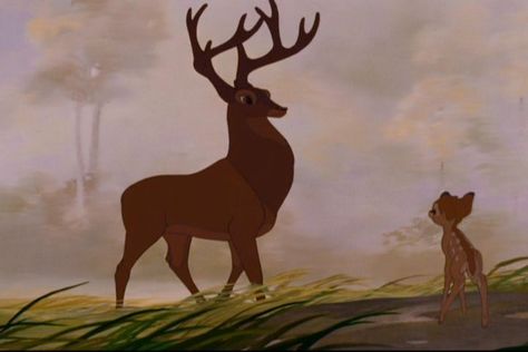 The Great Prince of the Forest is the most sexy (...ahem..) Disney animal. "A Prince does not "woo hoo"." Bambi Film, Disney Buzzfeed, Funny Disney Pictures, Humor Disney, Perang Dunia Ii, Bambi Art, New Funny Memes, Bambi Disney, Images Disney