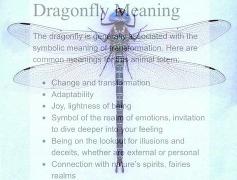 Dragonfly Meaning – Witches Of The Craft® Dragonfly Totem, Dragonfly Meaning, Dragonfly Symbolism, Dragonfly Quotes, Spirit Animal Meaning, Damselflies, Animal Spirit Guides, Dragon Flies, Dragonfly Dreams