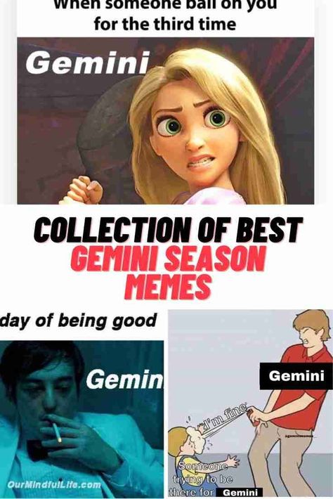 Gemini Memes #Zodiac #Gemini #memes #GeminiSeason #funny Gemini Memes Hilarious, Gemini Funny Humor, Virgo X Gemini, Gemini Season Quotes, Gemini Quotes Funny, Virgo And Gemini, Gemini Funny, Gemini Aesthetic, Virgo Relationships