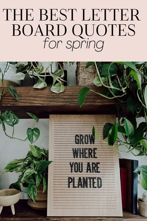 A roundup of letter board quote ideas for spring Spring Letter Board Ideas, Spring Board Quotes, Spring Felt Board Quotes, Spring Message Board Quotes, Spring Sayings For Letter Boards, Funny Spring Letterboard Quotes, Spring Letter Board Quotes Funny, April Letter Board Quotes, Spring Letterboard Quotes