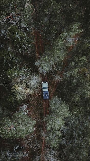 Free photo car driving along a pathway i... | Free Photo #Freepik #freephoto #forest-path #forest-road #forest-trees #nature-forest Car In Forest, Forest Highway, What About Bob, Side Road, Scenic Roads, Trees Nature, Forest Road, Forest Path, Insurance Companies