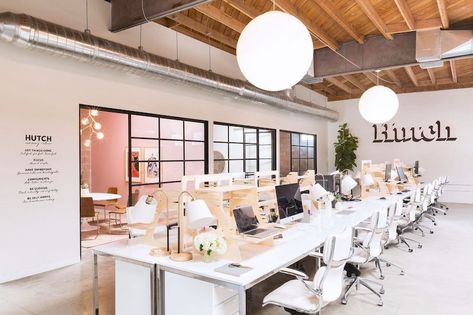 Multi Office Space, Coastal Modern Office Design, Office Interior Design Creative, Startup Office Design, Bureau Open Space, Executive Home Office, Startup Office, Open Space Office, Cool Office Space