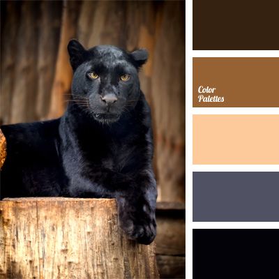 color In Color Balance, Seeds Color, Color Palette Ideas, Wall Living Room, Palette Design, Warm Palette, Palette Ideas, Color Balance, Living Room Bathroom