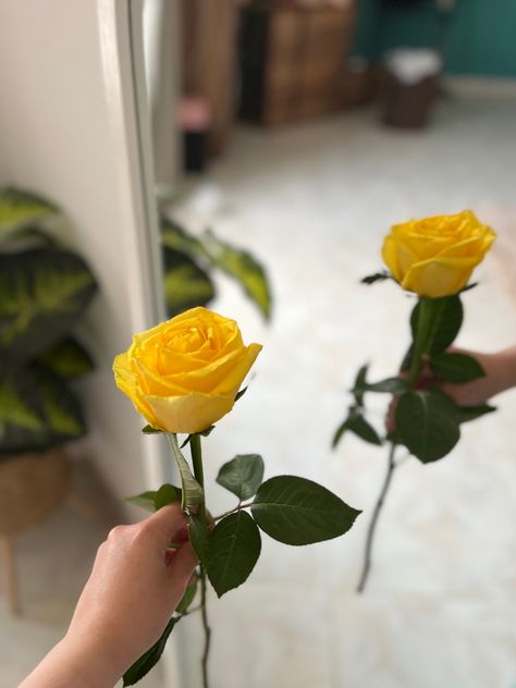 Sweet Couples, Flowers Images, Beautiful Flowers Images, Beauty Room Design, Cute Disney Pictures, Rosé Aesthetic, Best Poses For Pictures, Yellow Wallpaper, Language Teaching