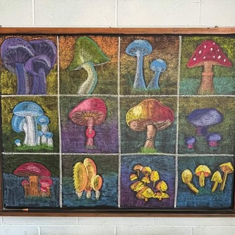 Mushroom Chalkboard Art, Waldorf Lessons, Botany Lessons, Waldorf Classroom, Blackboard Drawing, Block Plan, Chalkboard Drawings, Waldorf Education, Middle School Art