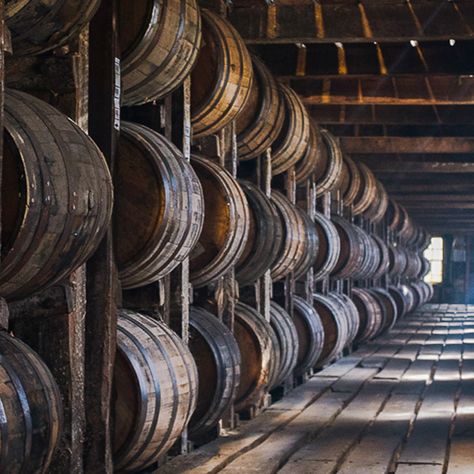 Whiskey Barrel Ideas, Whiskey Aesthetic, Brewery Ideas, Aged Whiskey, Jameson Whiskey, Barrel Bar, Whiskey Barrels, Sour Beer, Beer Barrel