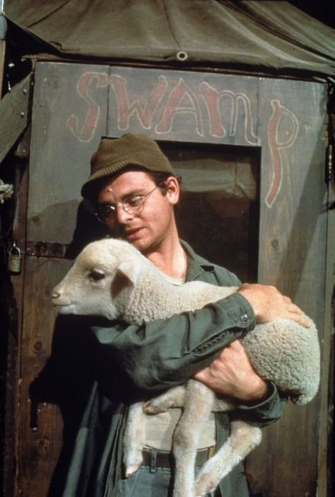 Still of Gary Burghoff in M*A*S*H Mash Show, Gary Burghoff, Mash Characters, Alan Alda Mash, Mash 4077, Alan Alda, 1970s Tv Shows, The Lone Ranger, Classic Television