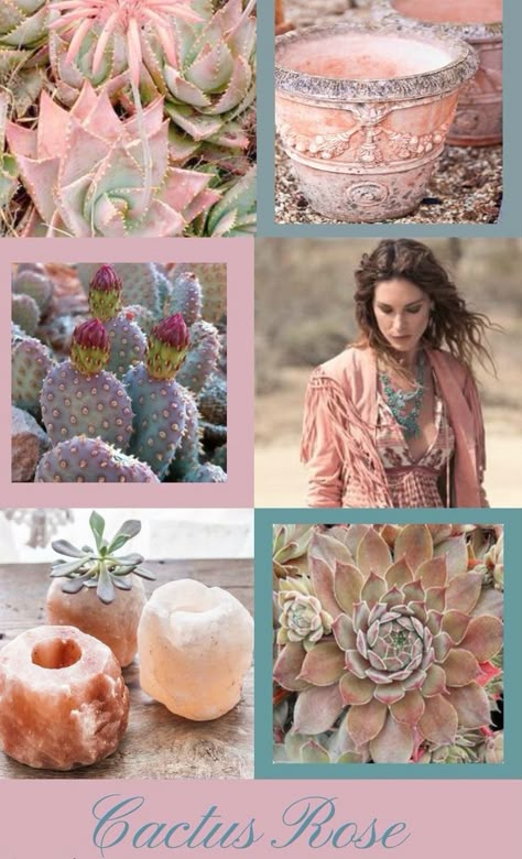 Cactus Mood Board, Finding Good Friends, Cactus Rose, Web Page Design, Mood Colors, Color Schemes Colour Palettes, Color Collage, Color Boards, Beautiful Collage