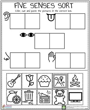 5 Senses Craft, 5 Senses Preschool, 5 Senses Worksheet, Five Senses Worksheet, Five Senses Preschool, 5 Senses Activities, Senses Preschool, Body Parts Preschool, Senses Activities