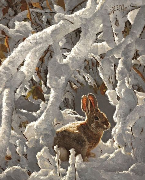 Greg Beecham, North American Wildlife, Wildlife Artwork, West Art, Wildlife Paintings, Winter Painting, Foto Art, Arte Animal, Wildlife Animals