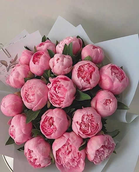 Boquette Flowers, Flowers Bouquet Gift, Peonies Bouquet, Flower Therapy, Beautiful Bouquet Of Flowers, Climbing Roses, Luxury Flowers, July 1, Peony Flower