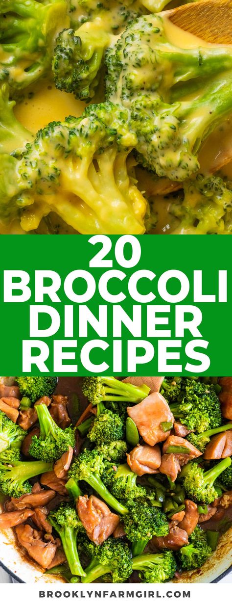 Level up your family's dinner game with our top 20 broccoli recipes that are not only delicious but also kid-approved! From cheesy casseroles to hearty soups, spaghetti and mac and cheese dishes, and more, we've picked these easy recipes that make broccoli the star of the show. Broccoli Meal Recipes, Meal Ideas With Broccoli, Main Dishes With Broccoli, Supper Ideas With Broccoli, What To Cook With Broccoli, Dinner With Broccoli Meals, Meals With Broccoli Dinners, Things To Do With Broccoli, Broccoli Meal Ideas