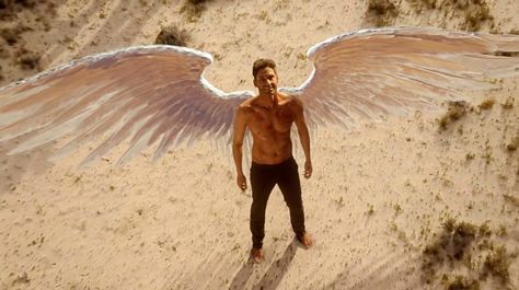 Season 2 is the second season of Lucifer. FOX announced that the series was renewed for a second season on April 7, 2016. The season premiered on Monday, September 19, 2016. On October 31, 2016, FOX announced the season will have 22 episodes, nine more than previously stated. However, on March 23, 2017, it was announced that only 18 episodes will air this season. The final four episodes were stand-alone episodes and were moved to be part of the third season. Starring Tom Ellis as Lucifer...Lucif Lucifer Wings, Male Angels, Tom Ellis Lucifer, Lauren German, 남자 몸, Lucifer Morningstar, Tv Awards, Tom Ellis, Neil Gaiman