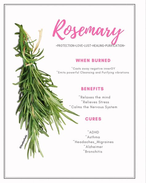 @healznfeelz shared a photo on Instagram: “Some Magic uses for Rosemary: •Place it underneath your pillow to ensure good sleep and keep away nightmares •Hang it on your porch to keep…” • May 3, 2021 at 9:51pm UTC Hanging Rosemary, Uses For Rosemary, Healing Nature, Kitchen Witchery, Product Ideas, Planting Herbs, Good Sleep, Pink Diamond, Nervous System