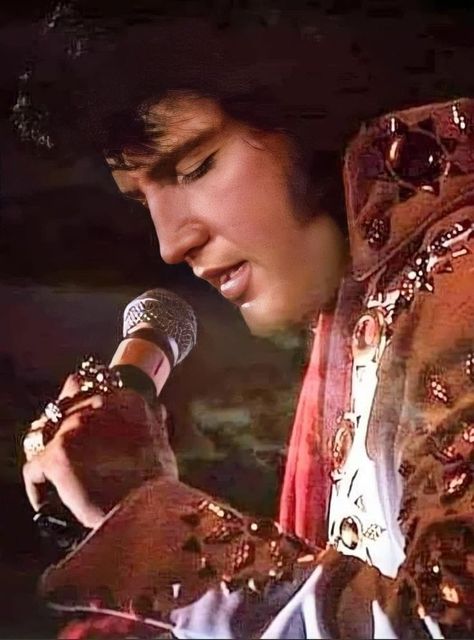 Elvis Presley Wallpaper, Elvis Presley Concerts, Elvis Presley Videos, Elvis Jumpsuits, King Elvis Presley, Elvis In Concert, Elvis Presley Images, Forever Mine, Elvis Presley Pictures